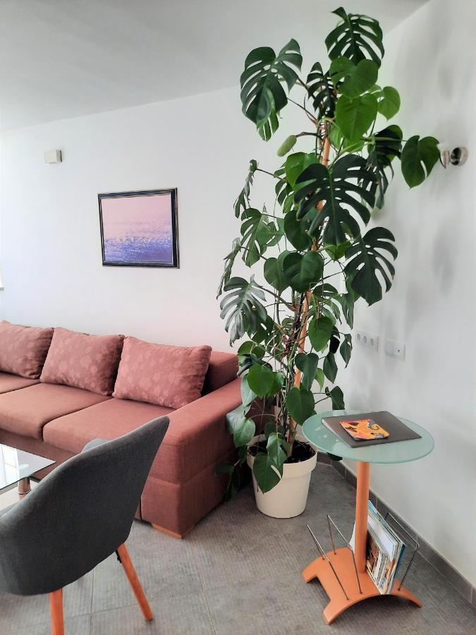 Apartment Mato Барбарига Екстериор снимка
